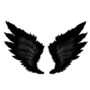black_wings