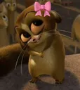 cute