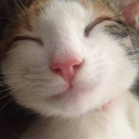 ss_catchill Discord emoji
