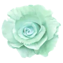 k_31alienflower