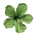 j_9zombieflower