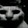uncannycat uncannycat