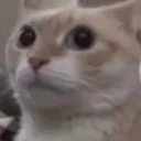 emoji_61