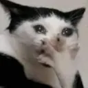 emoji_27