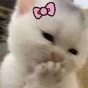 sachiii Discord Emoji | Tathastu