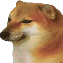 cheems Discord Emoji | Tathastu