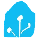hone_asinstint