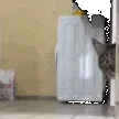 zCatWTF