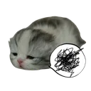 36758cat