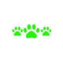 14561greencatpaws