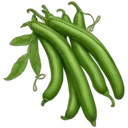 3johwkp68icwqousycttgpwn9psp