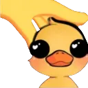 duck_pet duck_pet