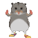 dancehamster
