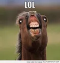 HorseLOL
