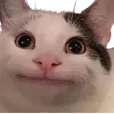 emoji_9