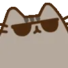 pusheendealwithit