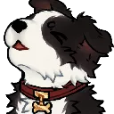 8r_bordercollie