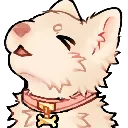 8r_samoyed