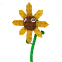 pvb_sunflower pvb_sunflower