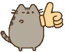 00_pusheenthumbsup