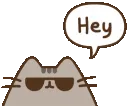 00_pusheenhey