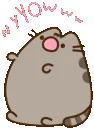 00_pusheennoisy