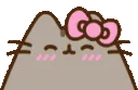 00_pusheenhkblush