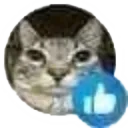 cat_thumbsup