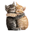 hug