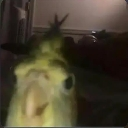 emoji_42 Discord sticker from FBI COMMUNITY