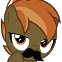 BMTheStache1 BMTheStache1
