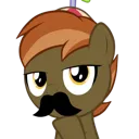 BMTheStache2