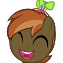 BMSmile2