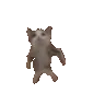 cat_dance_gangnamstyle