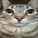 myorangeboyleftme