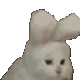 vibingcat