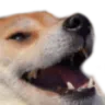 ACheemLol