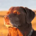 8ac6f5975dc9278865bdb41c101151c5