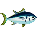 fish_tuna fish_tuna