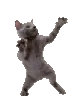 catdancing
