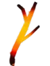 ForestGuideStick