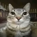 anas