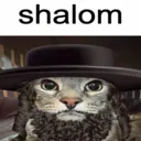 shalomcat
