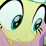 flutterstare flutterstare