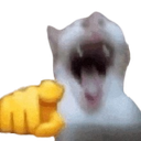 :catlol: