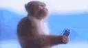 zMyExistenceIsNothingButAGrainOf