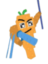 Mr Carrot Seed