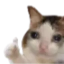 voidthumbsup