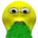 vomit