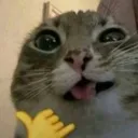 bigchilling